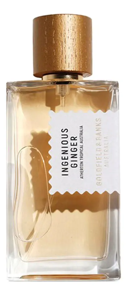 Ingenious Ginger