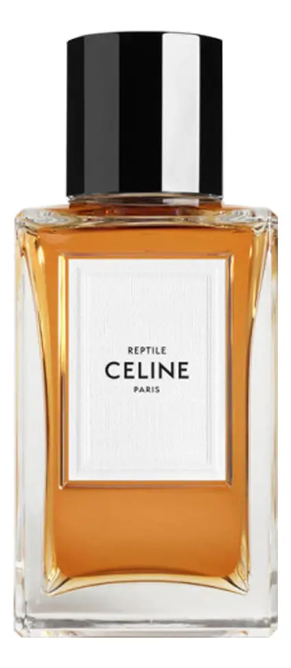 Reptile