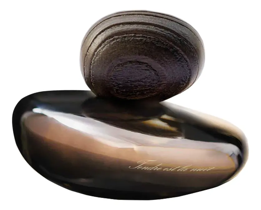 Tendre Est La Nuit Obscur