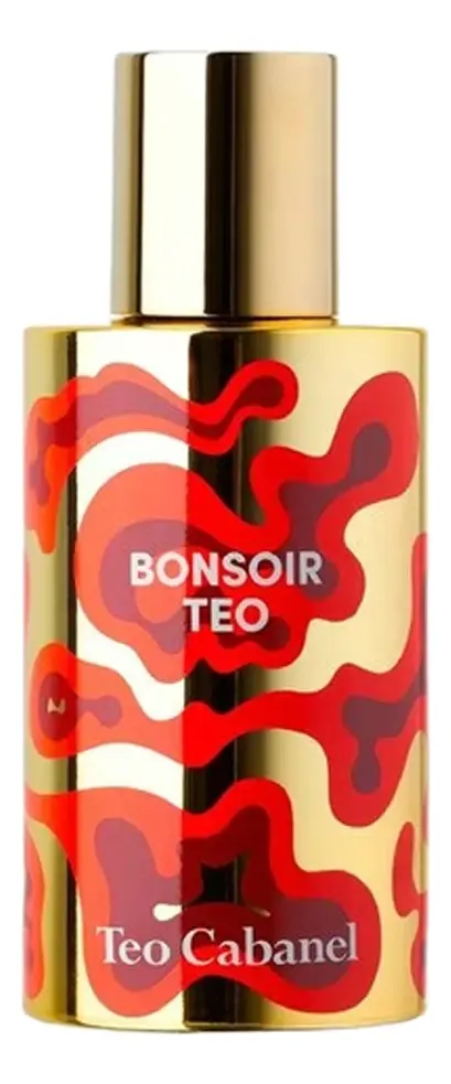 Bonsoir Teo