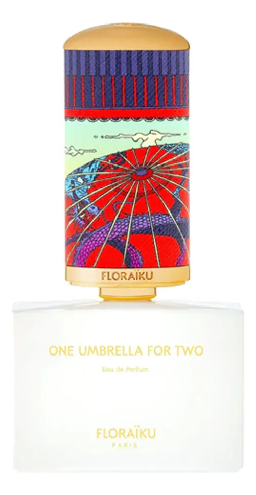 One Umbrella For Two