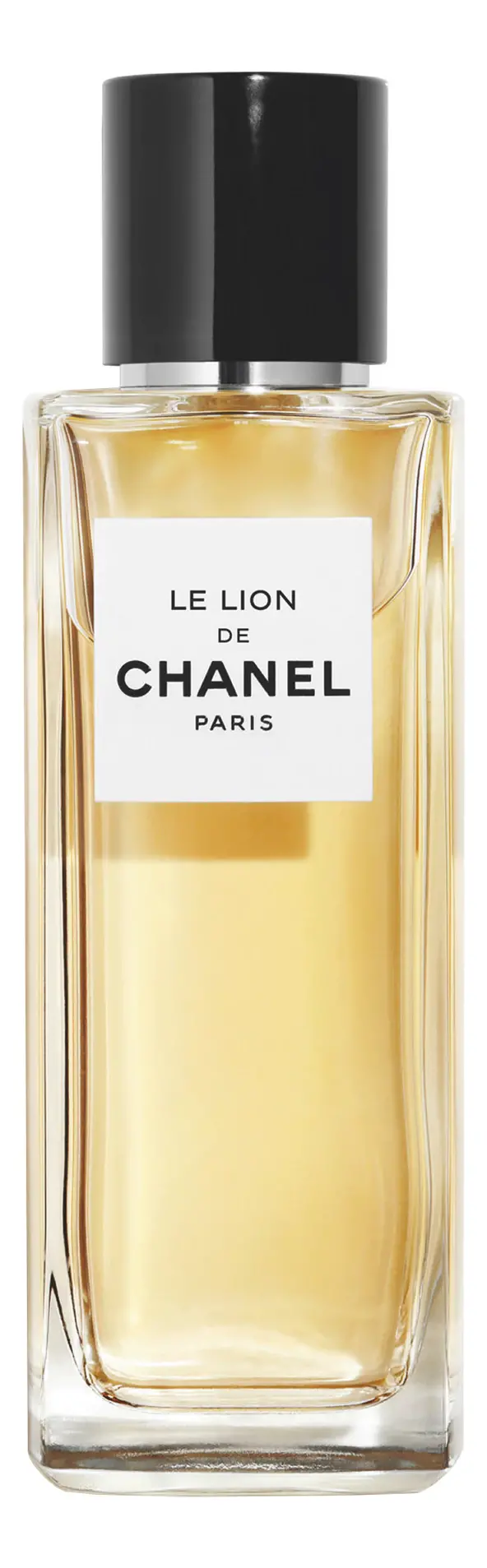 Le Lion De Chanel